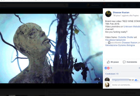 images in the video "RED WINE STAINED CHEEK" out 16th Feb 2018 -DISEASE ILLUSION (MELODIC DEATH METAL)
